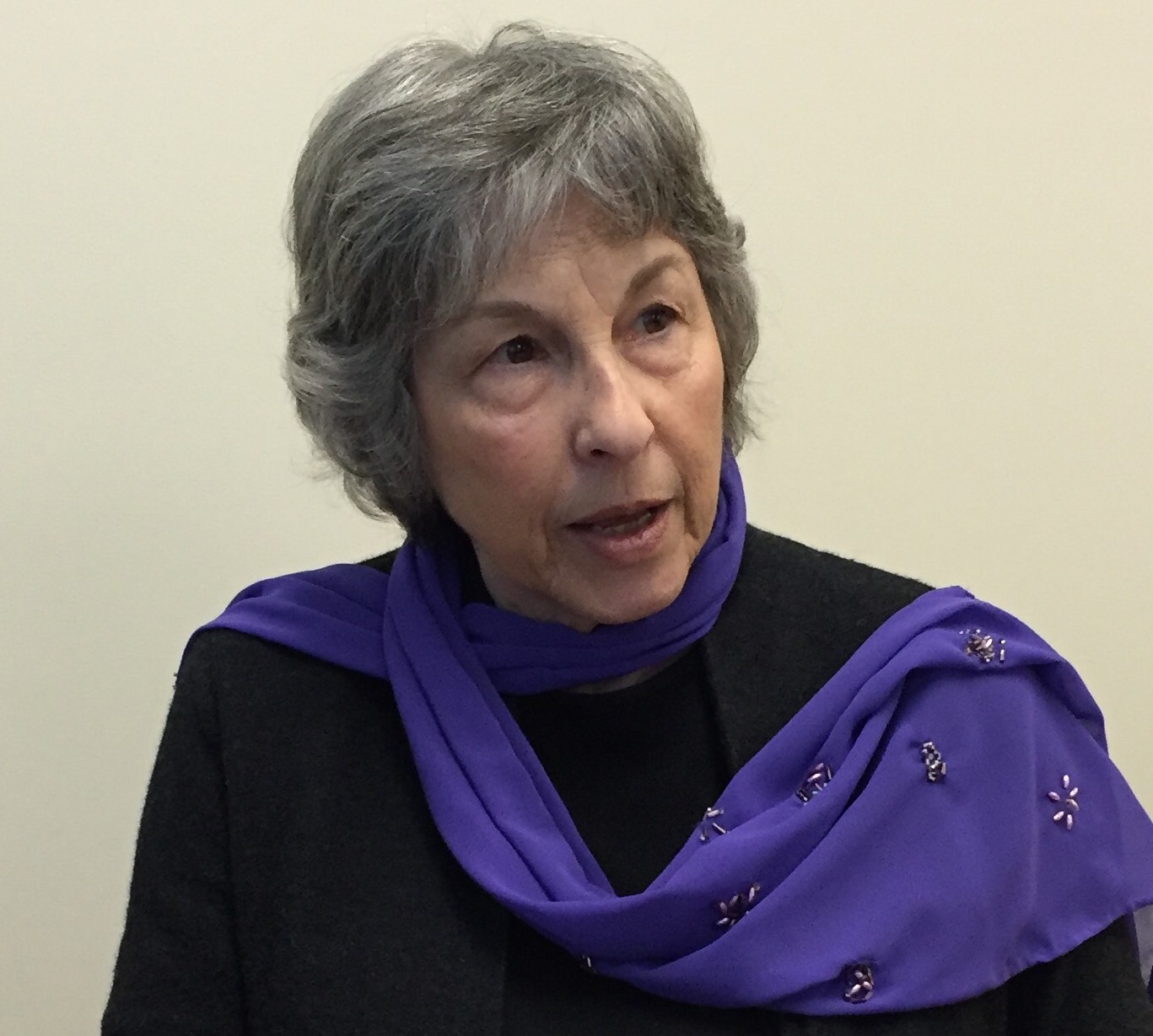 2017 March - Life in a Village; Private Museum Tour (pdf) newsletter